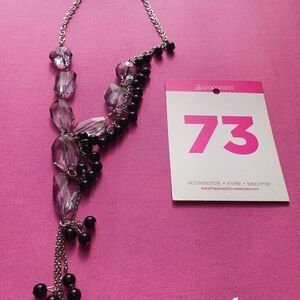 Paparazzi Silver and Purple Necklace